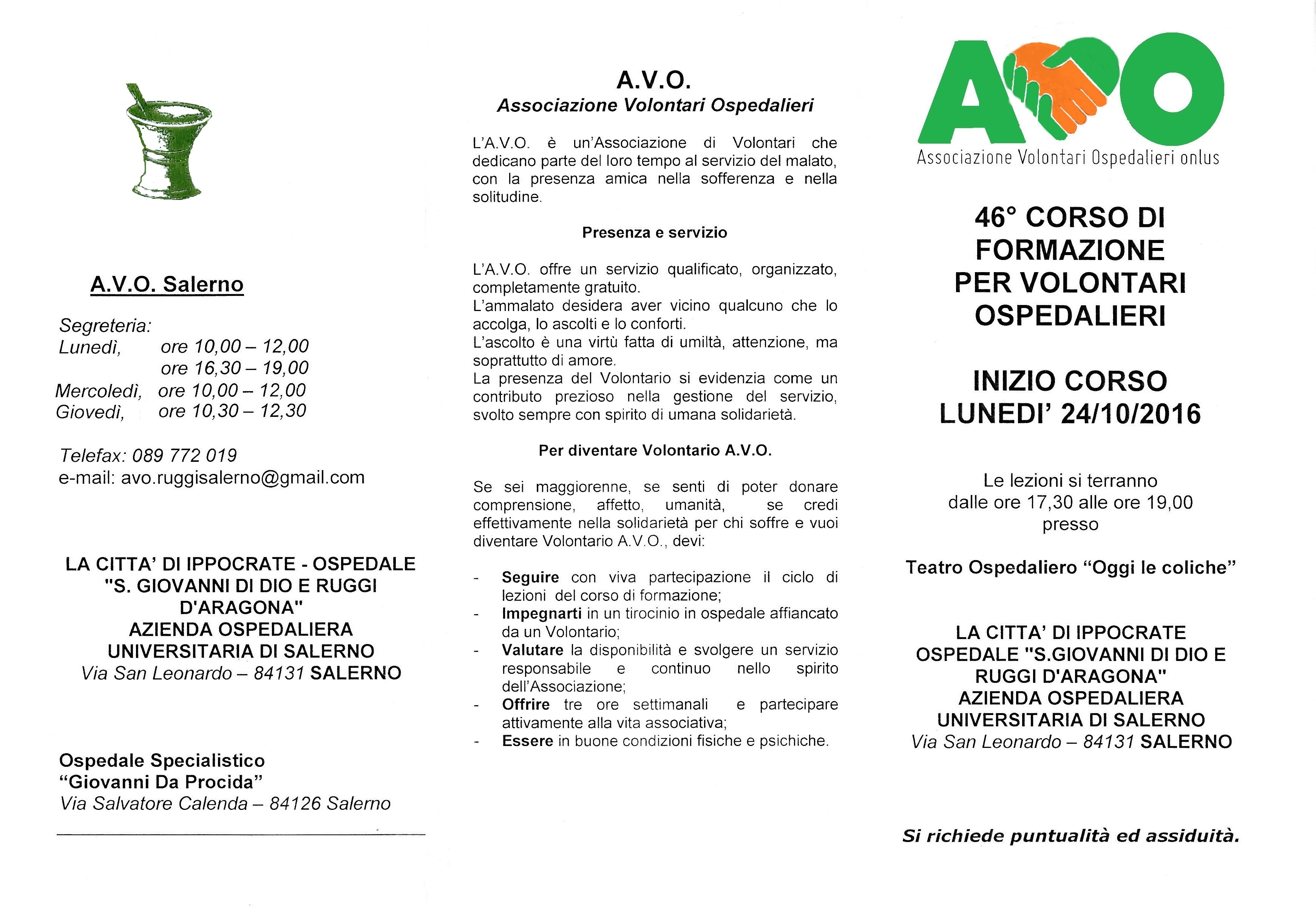 avocorso1