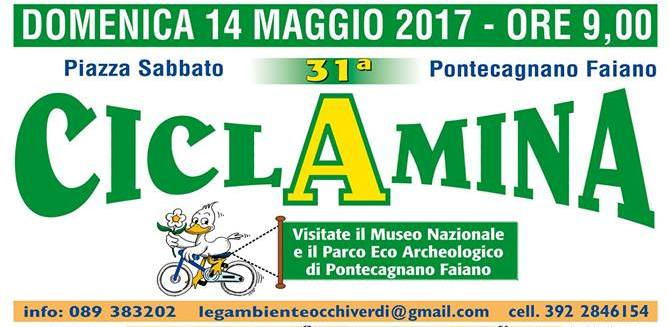 ciclamina2017