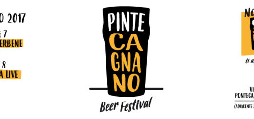 pintecagnanobeerfestival